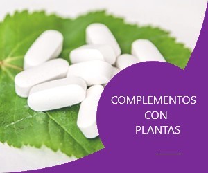 Complementos con plantas